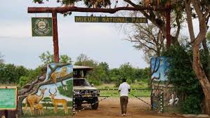 2-DAY SAFARI ADVENTURE TO MIKUMI NATIONAL PARK Tanzania travel package