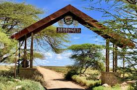 6 DAY DRIVE-IN SAFARI & ZANZIBAR EXTENSION Tanzania safari package